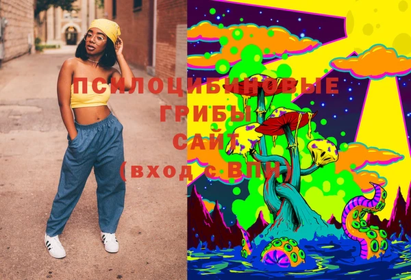 PSILOCYBIN Инта