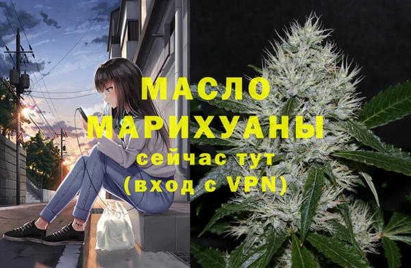 гашик Каменногорск