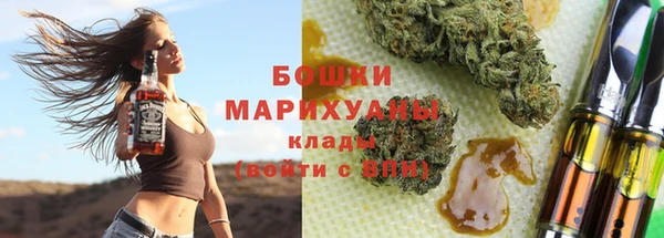 PSILOCYBIN Инта