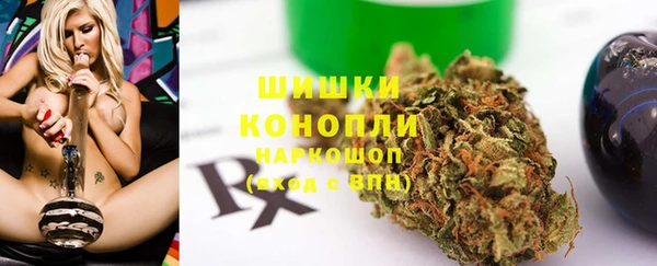 PSILOCYBIN Инта