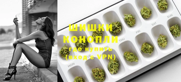 PSILOCYBIN Инта
