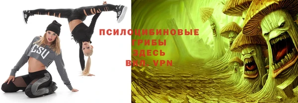 гидра Яранск