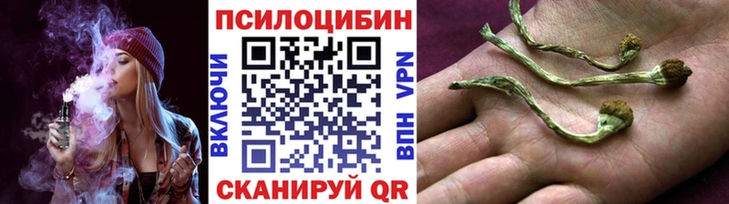 Купить закладки  Сорск  Псилоцибиновые грибы GOLDEN TEACHER 